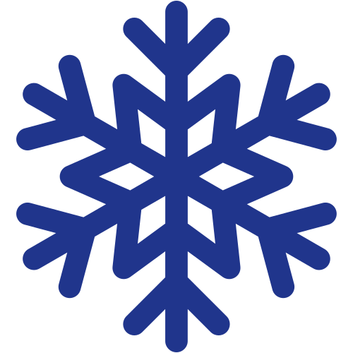 Snow flake icon